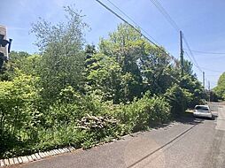 売土地（別荘用地）