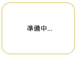 マルイ両三柳店まで約200ｍ米原9丁目新築建売