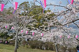 平作2丁目　売地