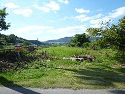 隼人町野久美田　売土地