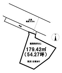 東真土3丁目50坪超え