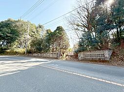 京都郡みやこ町豊津　売土地