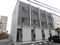 Stella Sights III 102