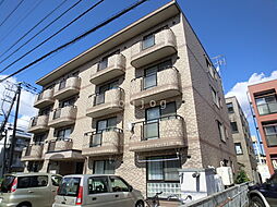 グレースＮ34 403