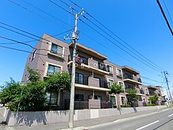 屯田11条ハイム 304