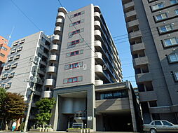 ノーステリア 301