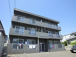 ｐｒｉｍａｖｅｒａ（プリマベーラ） 201