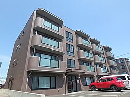 ウィングバレー 305