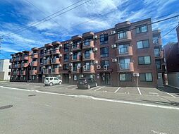 サウスウィング 305