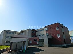 グランデールパレス 203