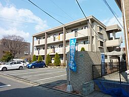 Dearcort kawanami 301