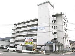 ライトハウス 306