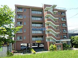 プロスペールSV 305