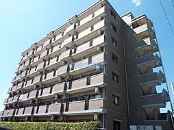 シャンベルジュKT 403