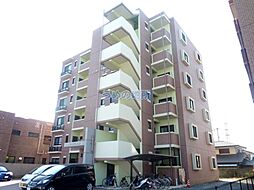 インポート久留米ルビーV 603