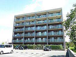 プリマヴェーラ一條 103