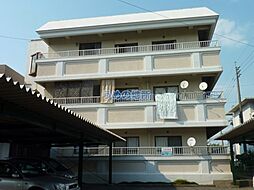 ハイツ市ノ上 203