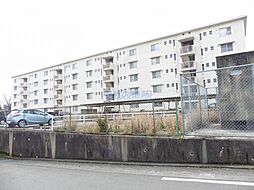 IT梅満II 501