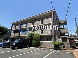 Dearcort kawanami 301