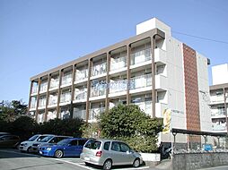 コーポ江戸屋敷200棟 242