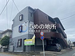ホーキーポーキー 302