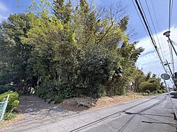 上尾市大字上野　土地
