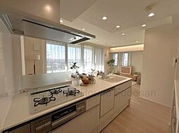 ペット2匹可　2015年築　パークホームズ二子玉川ヒルトップ3F