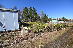 輪厚　家庭菜園