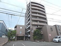 ルピナスＮ36 902