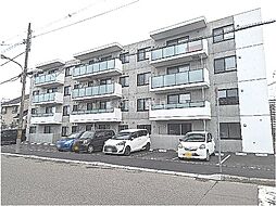 Ｐｌａｉｓｉｒ　Ｎ40 307
