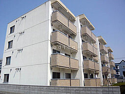 藤枝ハイツ B202