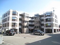 フォーシス本通17（旧ベルヴィコート本通17） 306