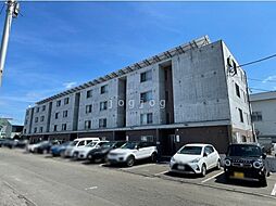 セントポーリアシェリル 202