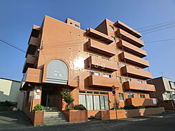 サンシャイン白石 203