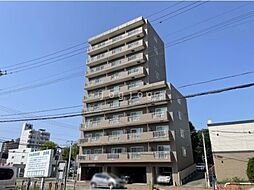 マッシモフェミニール菊水 603