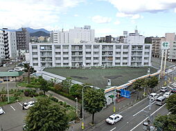 セシボン中の島 407