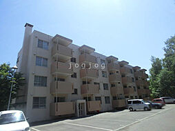 柏丘団地Ａ−4号棟 205