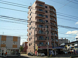 フェニックス真栄 501