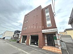 ひまわり 202