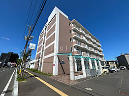 サラサ月寒西 311
