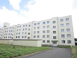 ビレッジハウス　栗山1号棟 106