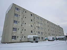 ビレッジハウス　幌向1号棟 103