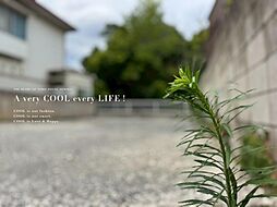 練馬区関町北３丁目の土地