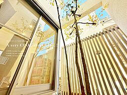 杉並区桃井１丁目