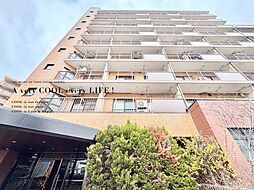 ライオンズマンション石神井公園Ｂ棟