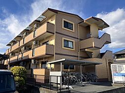 ライツフォル 205