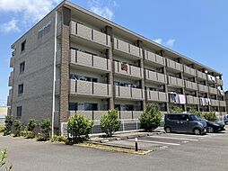 グランストーク波音 207