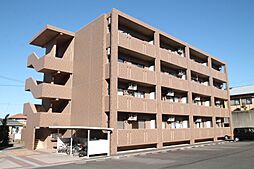 シーダーナイン 404