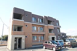 Tortolos 203