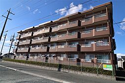 サンフラワーIII 401